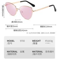 Очки металлические фотохромные с защитой от синего света 9700-GT