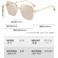 Очки пластиковые TR90 фотохромные с защитой от синего света 9724-GT