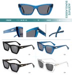 Polarized acetate plastic sunglasses Big City HS2826