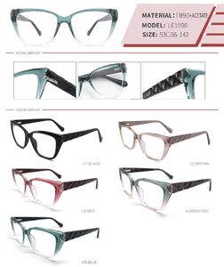 Plastic TR90 and acetate frame with spring hinges LE1090-DA