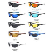 Polarized plastic sunglasses with UV400 protection D120-GT