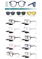 Plastic acetate frame with flex hinges + polarized clip-on Big City F3003S