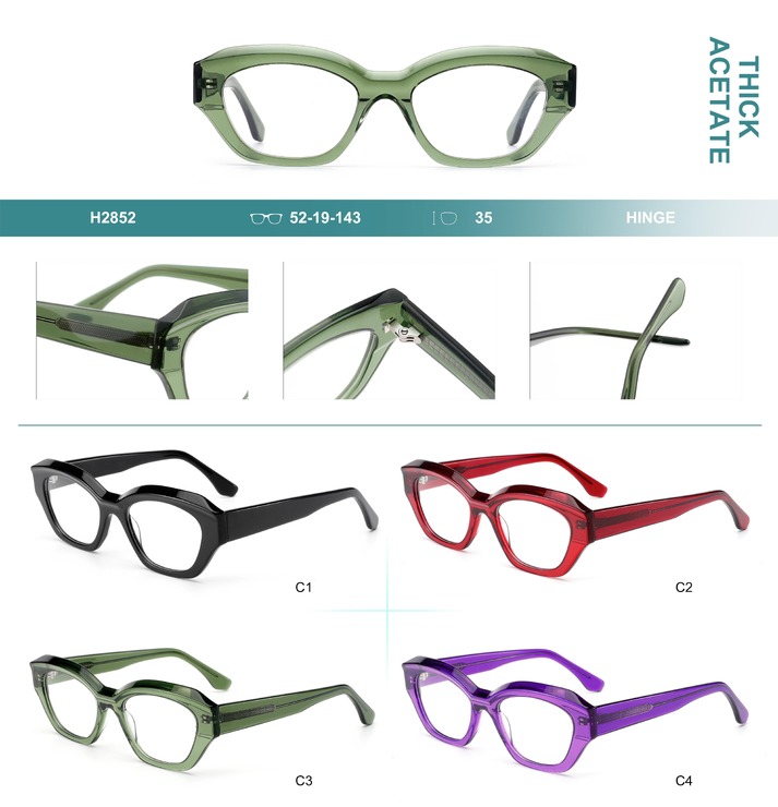Plastic frames for glasses, thick acetate Big City H2852