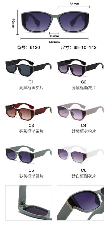 PC plastic sunglasses with metal hinge 6120W