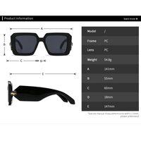 Plastic retro sunglasses Elit LH158-EL