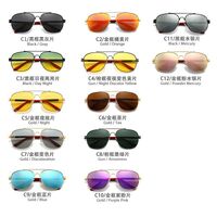 Polarized metal sunglasses with UV400 protection 2924-GT