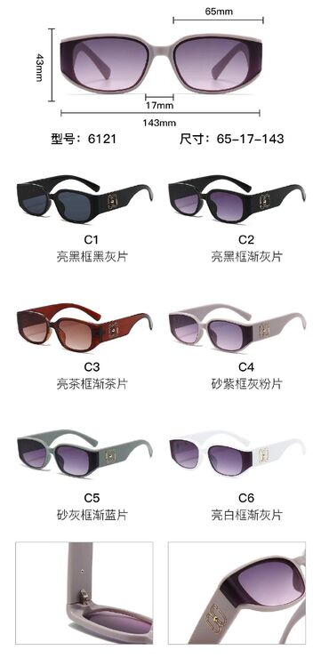 PC plastic sunglasses with metal hinge 6121W