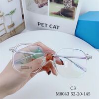 Hybrid frame, titanium alloy + TR90 SANTA M8043