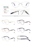 Metal frames for glasses with spring hinges Big City LF1617