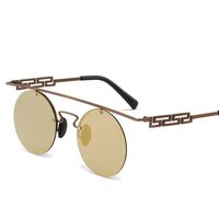 Polarized metal sunglasses with UV400 protection 2952-GT