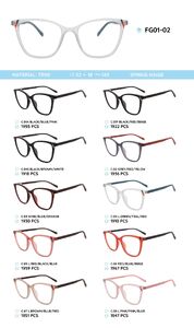 TR90 plastic frame for glasses FG01-02