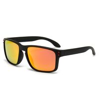 Polarized plastic TR90 sunglasses with UV400 protection 2973-GT