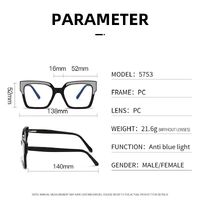 Plastic frame with anti-blue light protection lenses, with spring hinges Elit 5753-EL