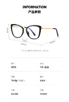 Plastic frames for glasses TR90+CA material (flex hinges) FOCUS FCS2111