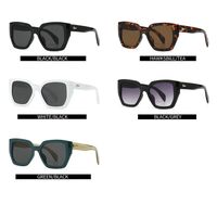 Plastic retro sunglasses Elit 9155-EL