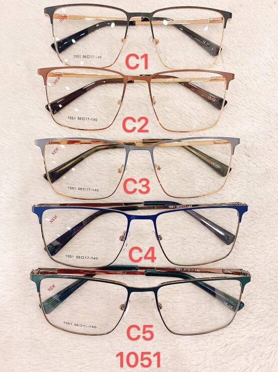 Metal frame for glasses with spring hinges Defile D1051