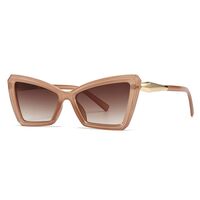 Пластиковые солнцезащитные очки в форме 