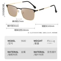 Photochromic glasses with blue light and UV protection 9680-GT