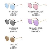 Photochromic glasses with blue light and UV protection 2886-GT