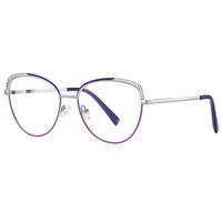 Metal Blue Blocker frames for glasses MORE FCS3108