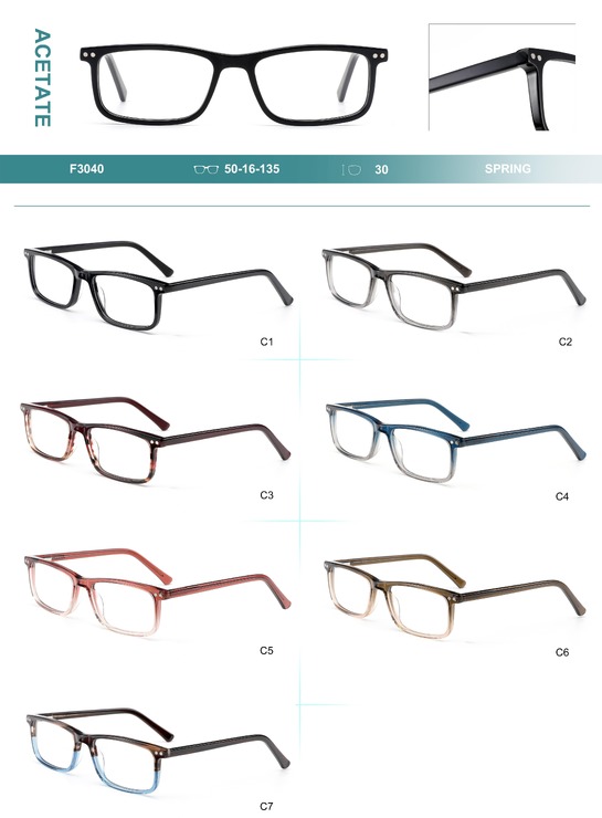 Acetate plastic frames for glasses with spring hinges Big City F3040