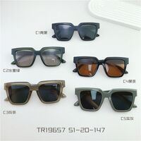 TR90 plastic sunglasses SANTA 19657S