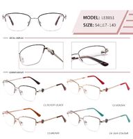 Оправа металлическая полуободковая с флексом LE8851-DA