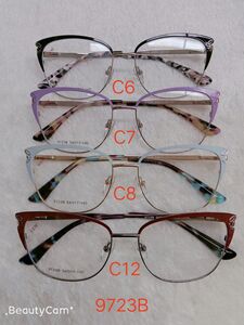 Metal frame for glasses with spring hinges 9723B
