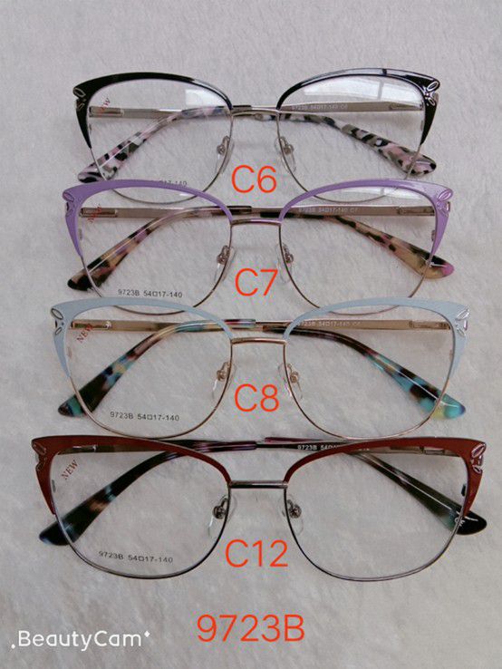 Metal frame for glasses with spring hinges 9723B