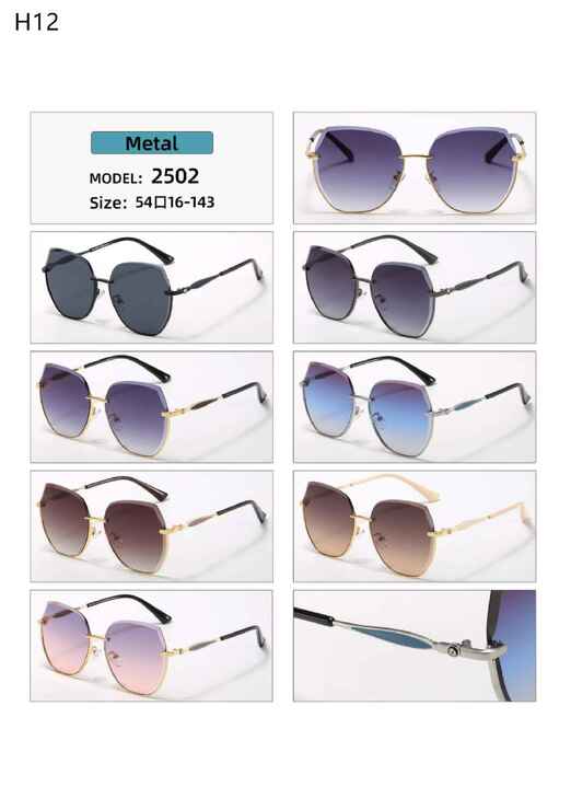 Polarized metal sunglasses H12 Matrix MT2502