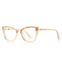 Оправа пластиковая из материала TR90 с защитой от синего света, с флексом FOCUS FCS2223