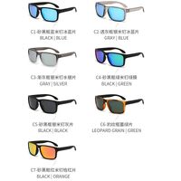 Polarized plastic TR90 sunglasses with UV400 protection 2973-GT