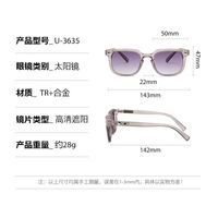 Plastic + metal square sunglasses for men Elit 3635-EL