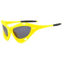 Plastic sunglasses KY68117