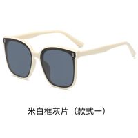 Sunglasses V352-353-361
