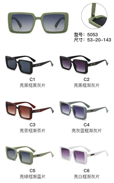 Солнцезащитные пластиковые очки из поликарбоната с металлическим шарниром 5053W