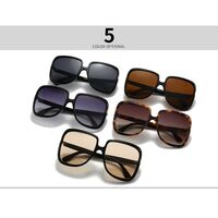 Plastic retro sunglasses for women Elit LH186-EL