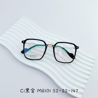 Оправа титановая SANTA M8101