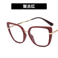 Combined (metal + TR90) glasses with blue light protection for women 95280-5042-PN