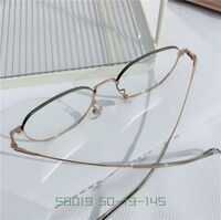 Оправа металлическая из титана SANTA 58019