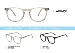 Plastic acetate eyeglasses frame with spring hinges WD1643P