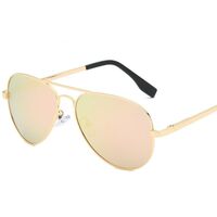 Polarized metal sunglasses with UV400 protection 3025L-2-GT