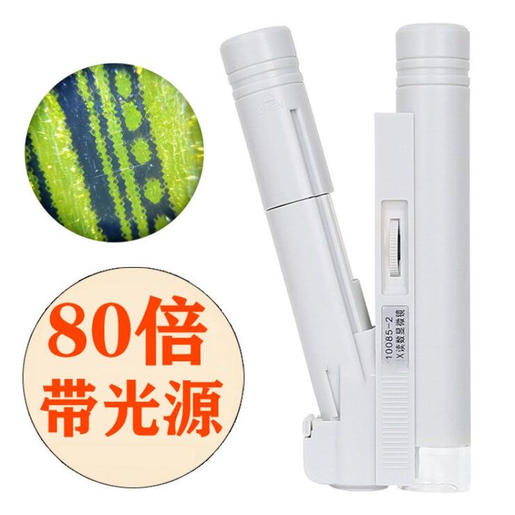 Portable microscope 10085-1F, magnification: 80X (without a scale)