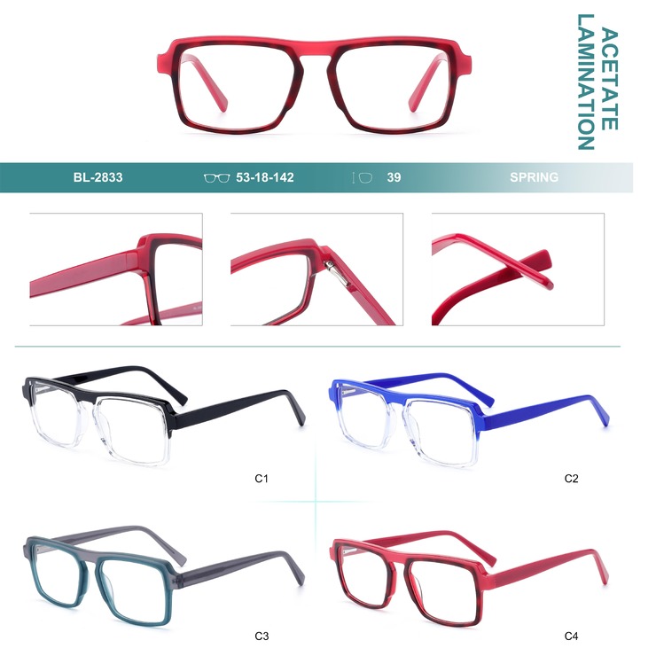 Plastic frames for glasses, acetate lamination with spring hinges Big City BL-2833