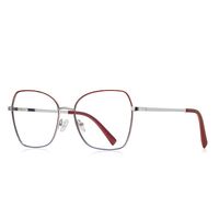 Metal Blue Blocker frames for glasses MORE 3084