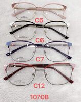 Metal frames for glasses 1070B