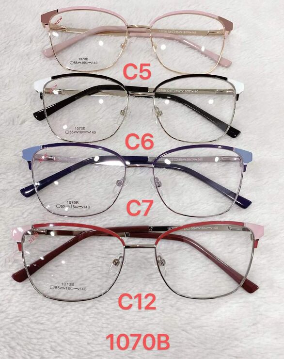 Metal frames for glasses 1070B