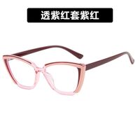 Plastic TR90 glasses with blue light protection TR5205-PN
