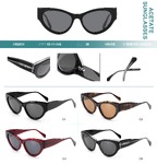 Polarized acetate plastic sunglasses Big City HS2831