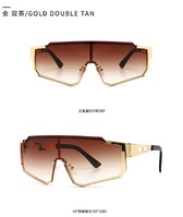 Солнцезащитные очки Elit металлические цельные M505